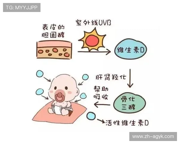 足球维生素D补充是否能改善户外比赛中球员骨骼健康与免疫水平