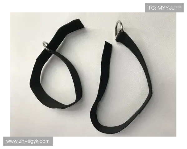 阳锐健身器材官网企业采购定制解决方案