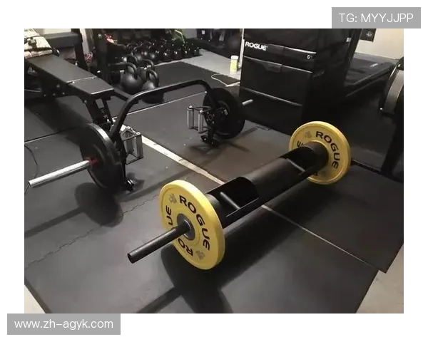 硬拉健身器材：硬拉训练器材推荐与效果解析